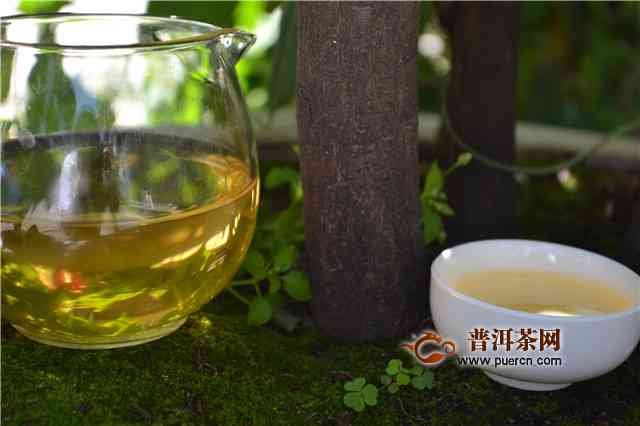 用汗水泡普洱茶的功效：解锁健与品味的结合