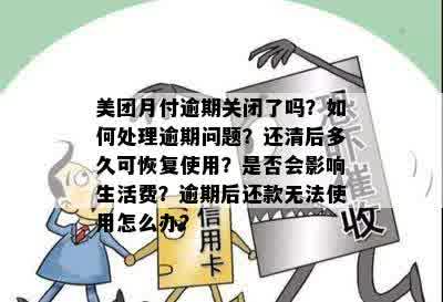 美团月付逾期无法使用？解决方法全面解析！不仅如此，你还可以...