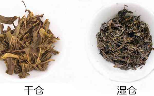 东北的普洱茶仓是什么