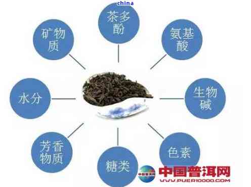 普洱茶种类多样化的原因及其市场趋势探讨