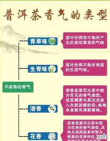 探索滇绿普洱茶的完整特征：产地、制作工艺、口感、香气及功效等全方位解析