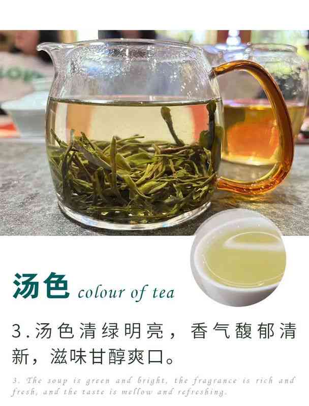 滇绿是什么茶？滇绿茶的功效和价格