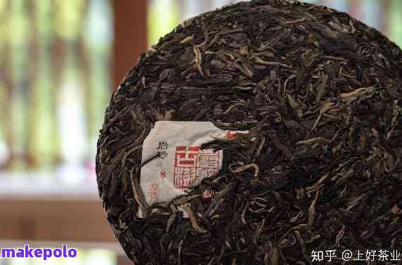 新「普洱茶的存：如何防潮以保持其风味」