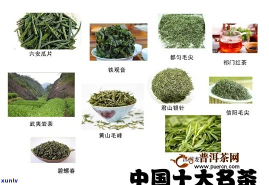 苦茗：绿茶的一种还是其他类型的茶叶？了解各种茶叶特点和分类
