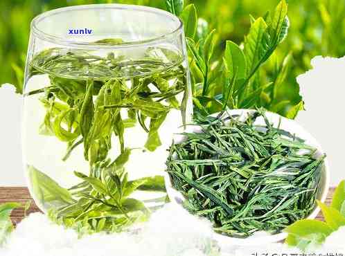 苦茗：绿茶的一种还是其他类型的茶叶？了解各种茶叶特点和分类