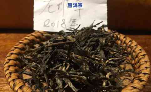 香竹箐牌普洱茶：品质、制作工艺、口感及泡法全面解析，让你成为茶叶专家