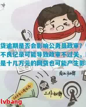 政审对贷款次数多但无逾期记录的影响：一个全面的分析