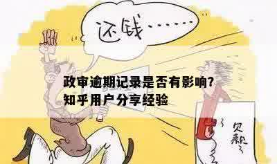 政审对贷款次数多但无逾期记录的影响：一个全面的分析