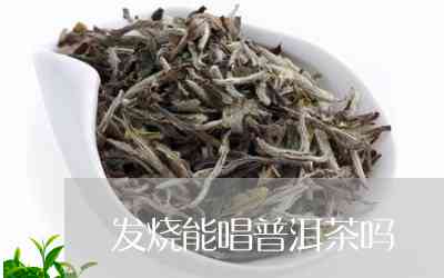 发烧了喝普洱茶好不好