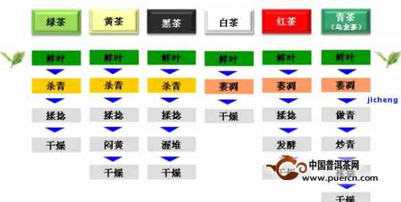 普洱茶口味大全：全面解析不同口感和种类的特点与区别