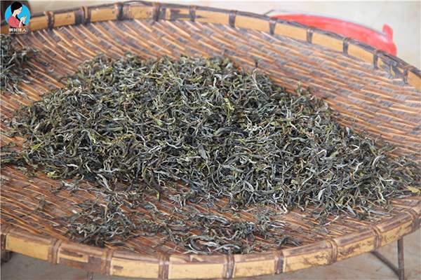 易武普洱茶：古树茶的鉴别与品质详解，让你全面了解易武茶的特点