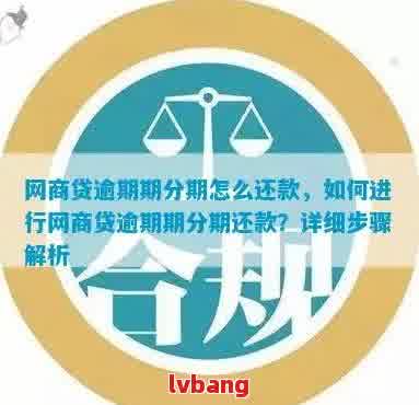 网贷逾期后还款方式问题：一次还清还是分期可行？