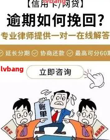 网贷逾期后还款方式问题：一次还清还是分期可行？