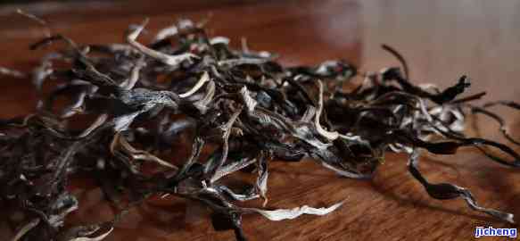 普洱茶生长过程中出现黄毛是否影响其饮用安全性？