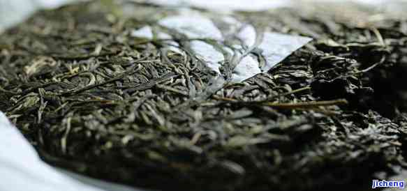 普洱茶生长过程中出现黄毛是否影响其饮用安全性？