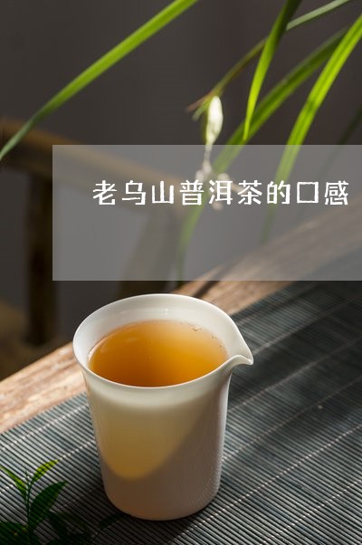老山普洱茶很甜吗