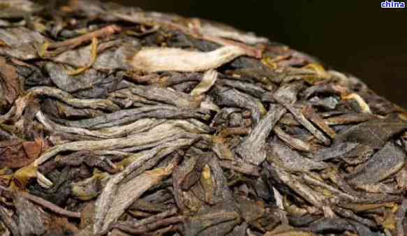 新普洱茶回强的品种有哪些？ 