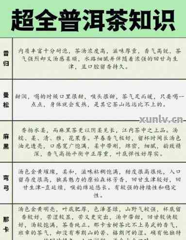 普洱茶哪款最香？全面解析各大及口味特点，助你轻松找到更爱的一款！