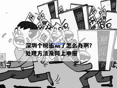 深圳逾期申报可以在电子税务局申报吗怎么操作