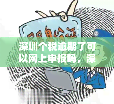 深圳逾期申报可以在电子税务局申报吗怎么操作