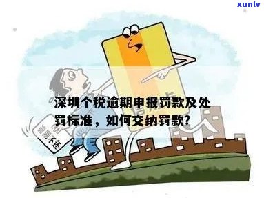 深圳逾期申报处罚标准全解析：最新规定、处理办法与个税影响