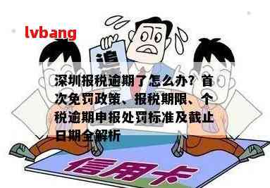 深圳逾期申报可以在电子税务局申报吗