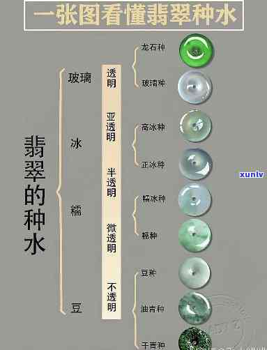 探秘纯天然翡翠：内部结构、质地、颜色与价值解析