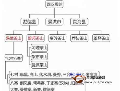 六大茶山之首：探索普洱茶的神秘产地与文化内涵