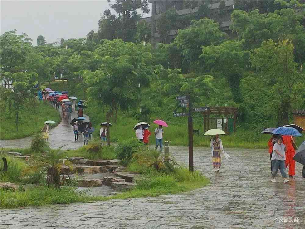 云南旅行团普洱茶：旅游攻略与线路推荐