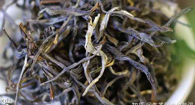 草与普洱茶结合的奇妙喝法及其功效大揭秘