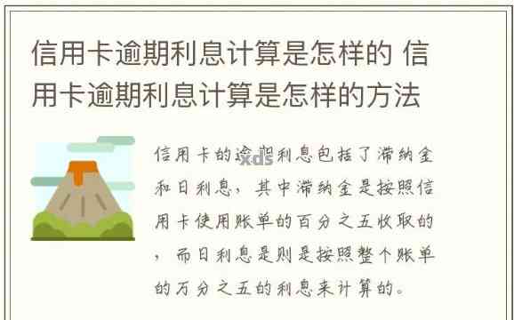 逾期一天的信用卡利息计算方法详解，全面解答用户疑问