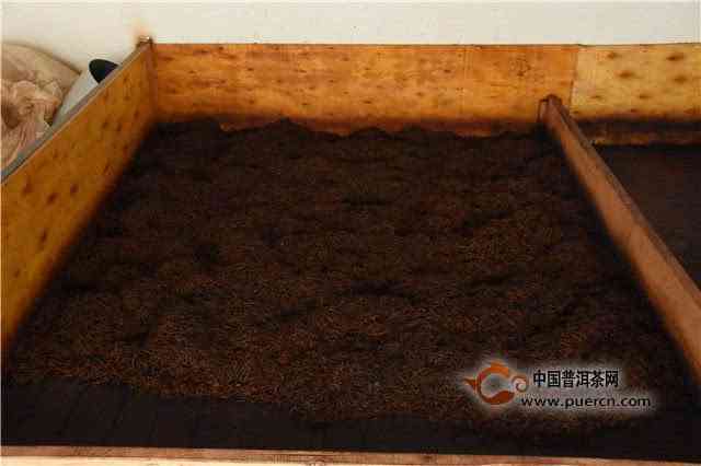 普洱茶发酵过程中产生的果胶含量及其对茶叶品质的影响