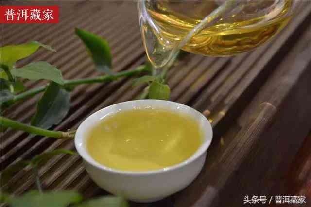 普洱茶窝窝头怎么泡的