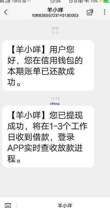 逾期还款后的羊小咩额度恢复策略与可能性探讨