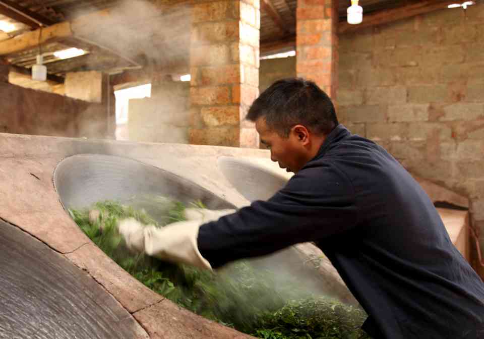 普洱茶在南方雨天喝的好处与注意事项：是否适合饮用？