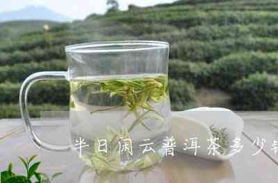 半日闲茶茗普洱茶