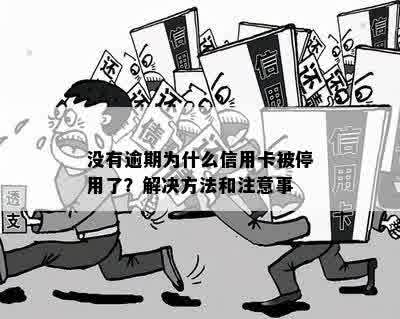 信用卡逾期被停用怎么办？解决方法全面解析