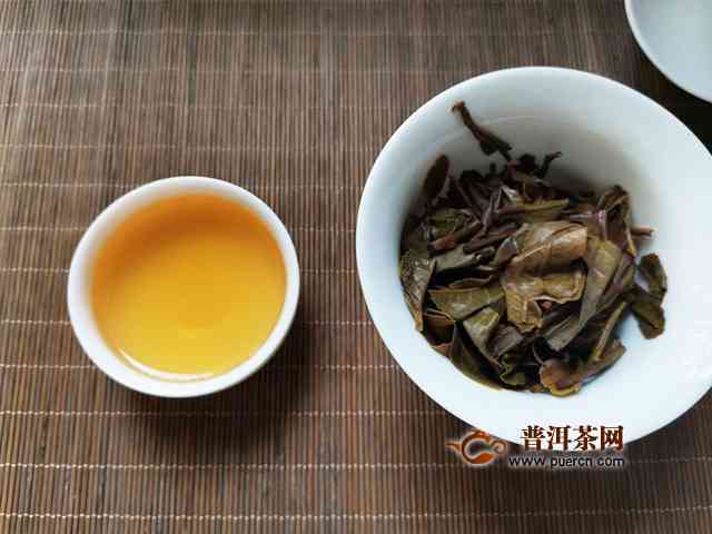 新宠：吉普号普洱茶，品鉴生茶的全新视角与体验