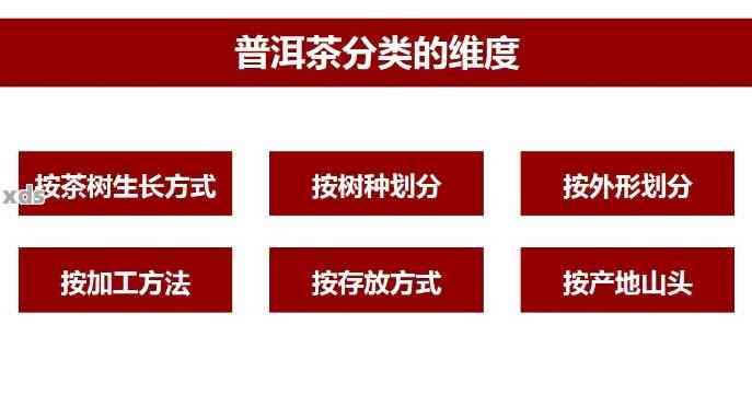 全面解析吉普号普洱茶：学费、品质与口感的深度剖析