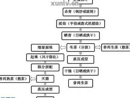 普洱茶四级原料是什么做的？了解普洱茶的关键成分与制作工艺