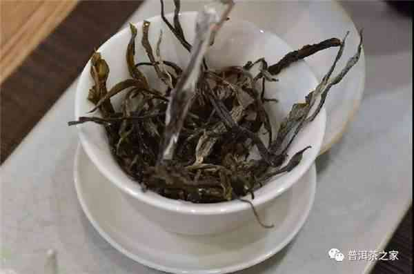 普洱茶叶洗茶好吗？怎么洗普洱茶叶？