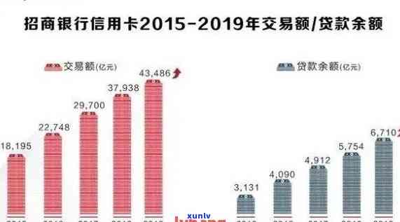 2023年信用卡逾期现象大揭秘：原因、影响与解决方案全解析