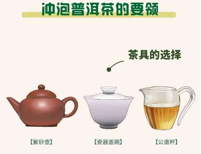 云南茶乡探秘：品鉴普洱茶的文化与魅力之旅