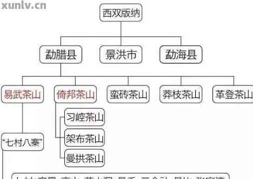 探寻位于云南的优质普洱茶产区：六大茶山的历与文化