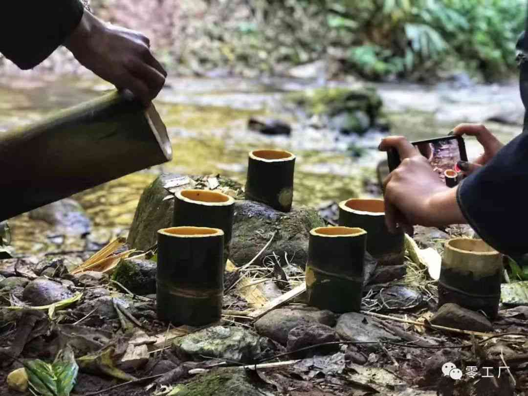 普洱茶的原产地、种植地区及其文化背景是什么？