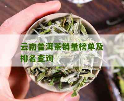 南普洱茶的销量排名