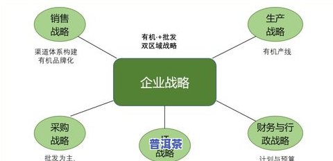 探究普洱茶供应商成功之道：全方位战略与盈利模式分析