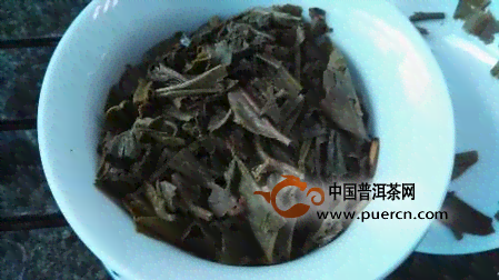 今大福普洱茶藏福