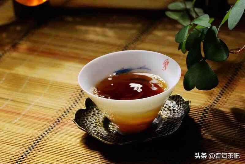 喝熟普洱茶怎么样好喝