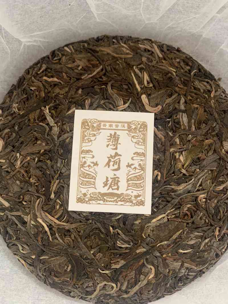 金标薄荷塘普洱茶